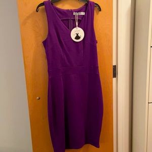 NWT Sylvestidoso Dress Purple S